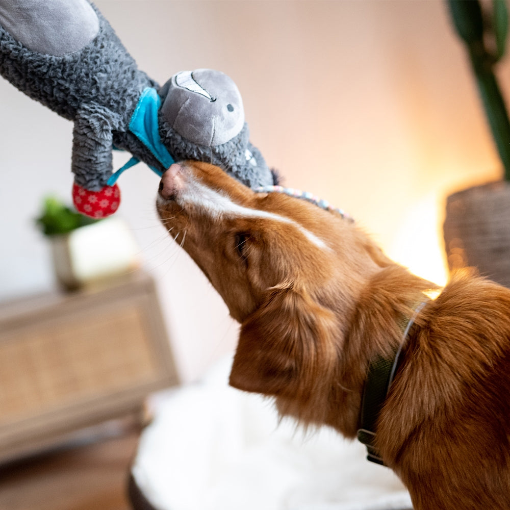Plüschtiere Esel