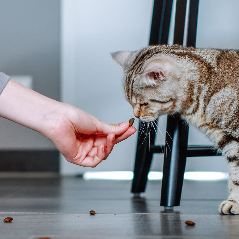 StarSnack Crushy Anti-Hairball