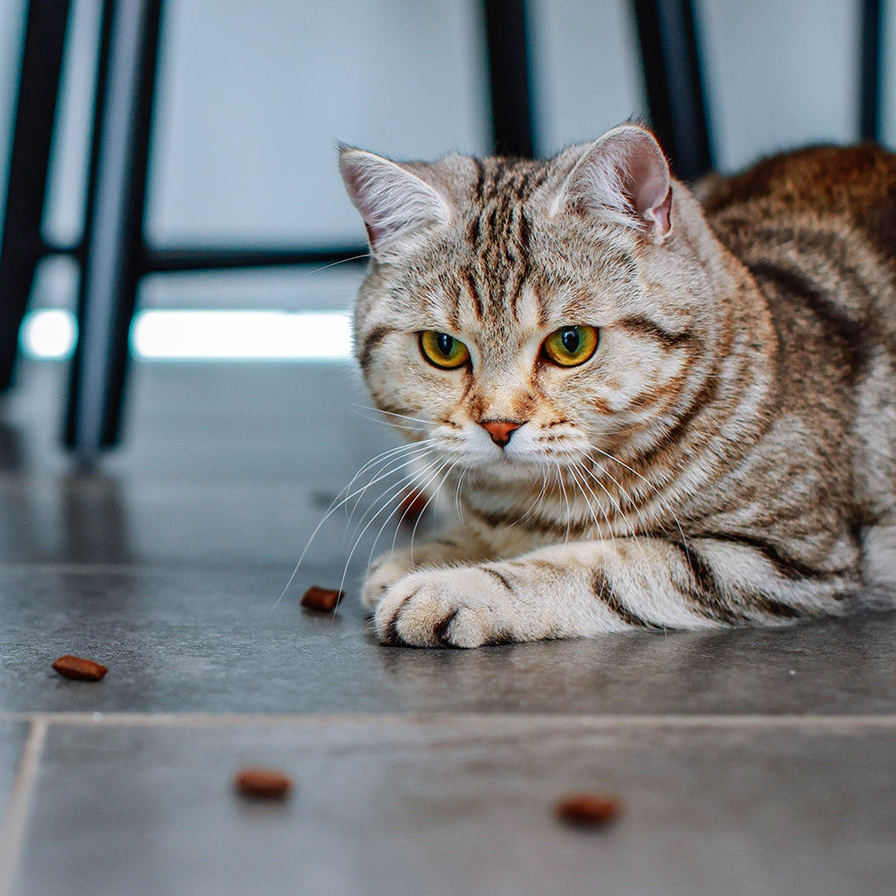 StarSnack Crushy Anti-Hairball