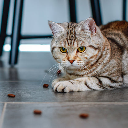 StarSnack Crushy Anti-Hairball