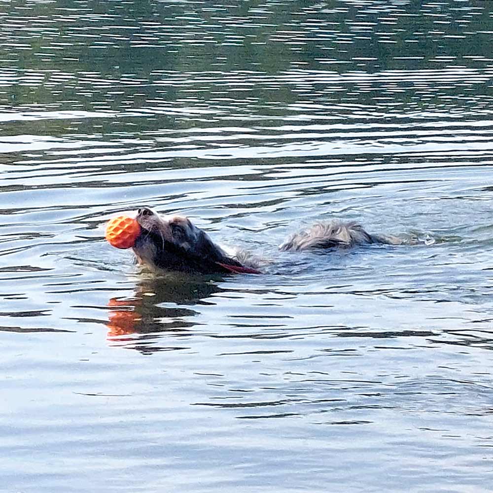 TPR Ball "Wafer" mit elastischer Schlaufe