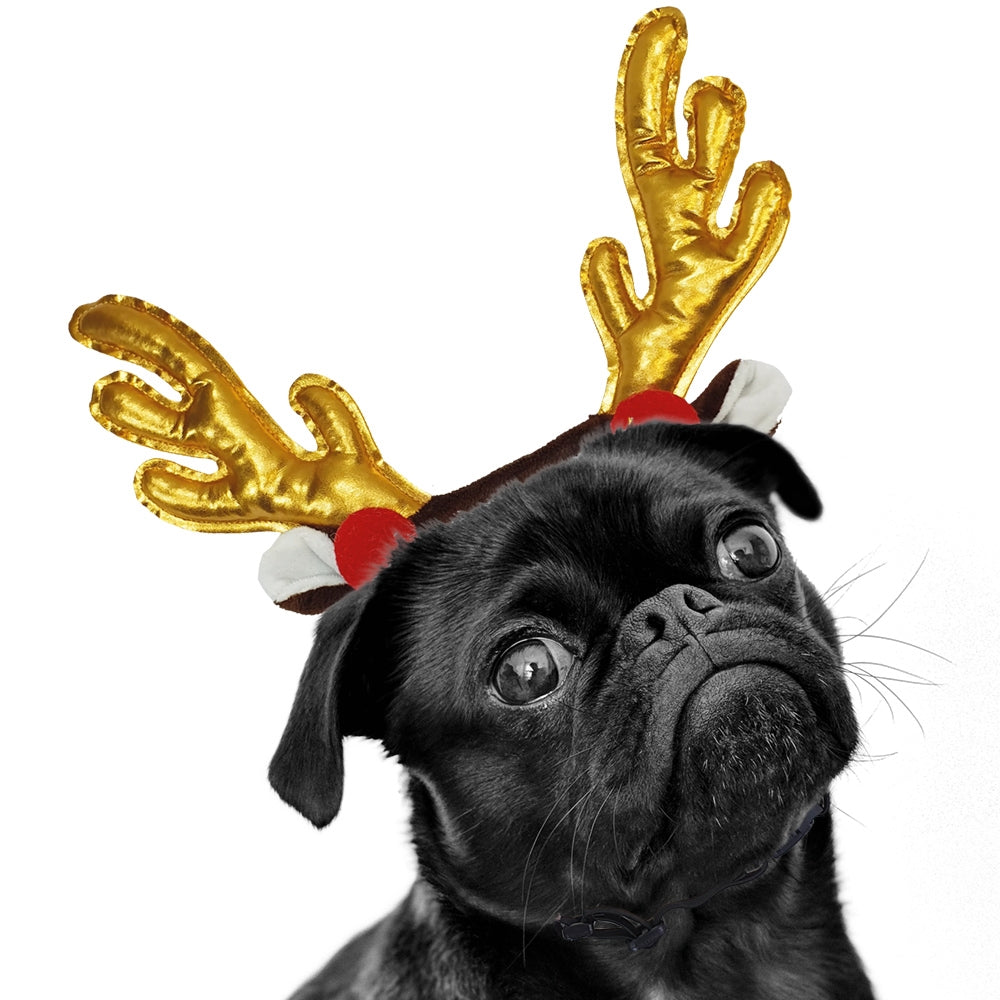 Xmas Geweih