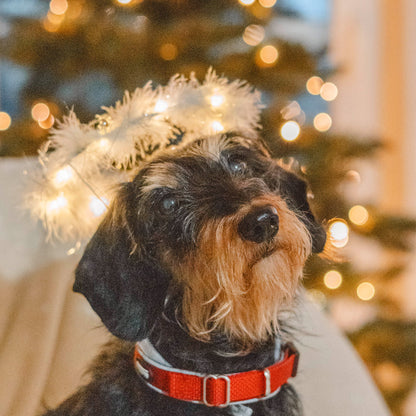 XMAS Heiligenschein mit LED für Hunde – Ø 16 cm