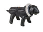 Hundemantel "BOKA"