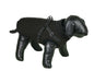 Hundemantel "Bomja 2in1"