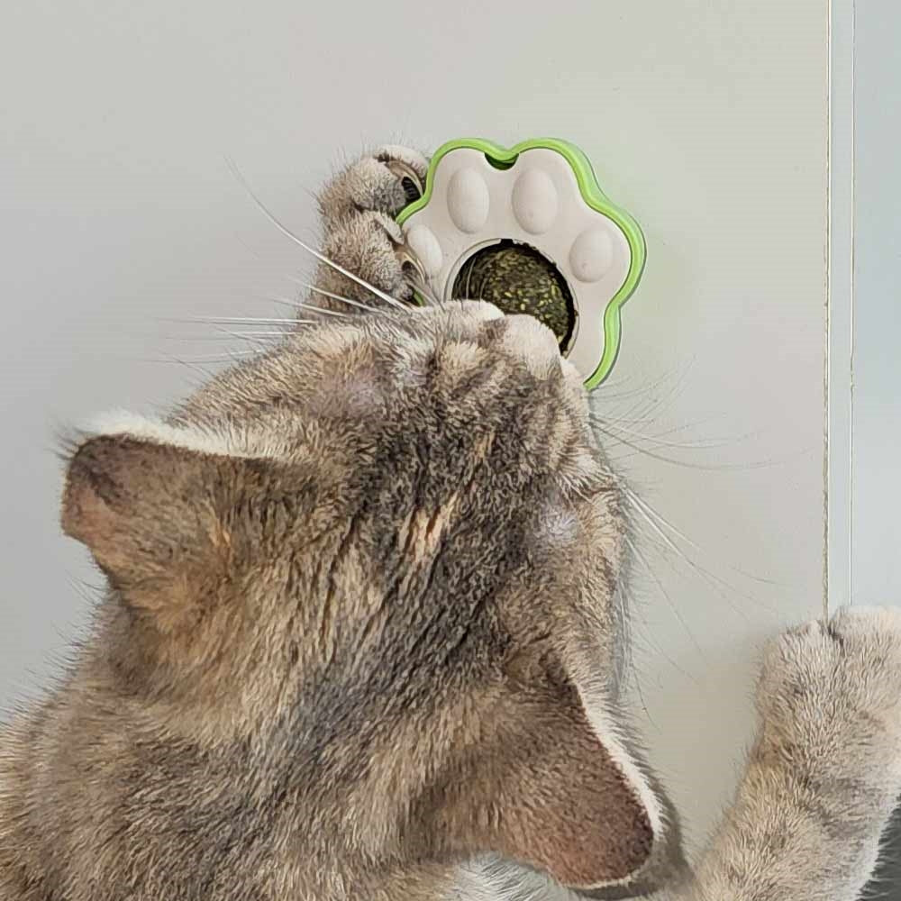 Catnipball "Avocado" & "Paw"