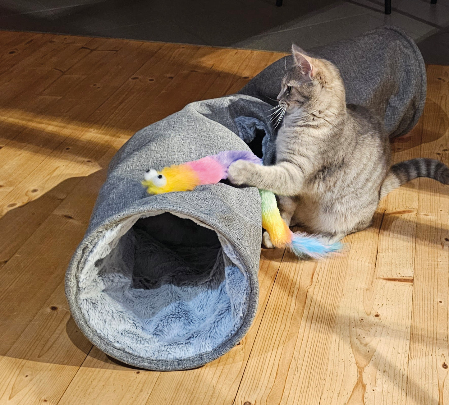 Vorratspack Angel mit Plüsch Knisterwurm