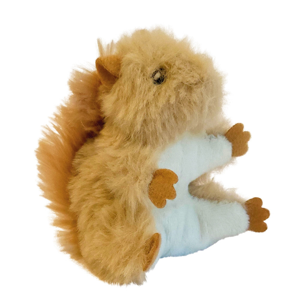 Eichhörnchen