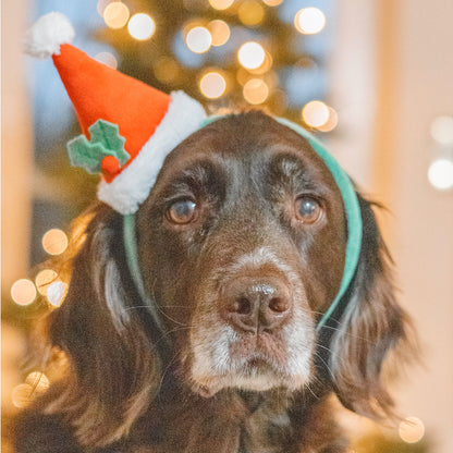 XMAS Kopfreif mit Weihnachtsmütze für Hunde – Ø 13 cm