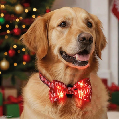 XMAS LED-Fliege & LED-Schlips für Hunde