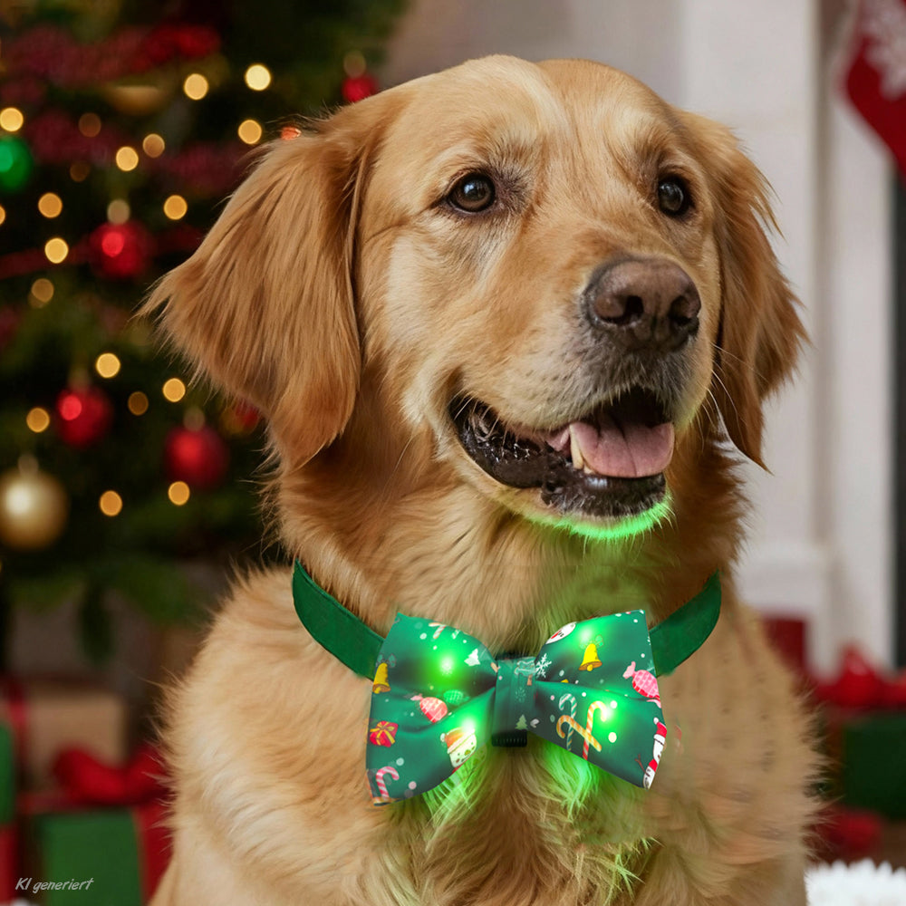 XMAS LED-Fliege & LED-Schlips für Hunde