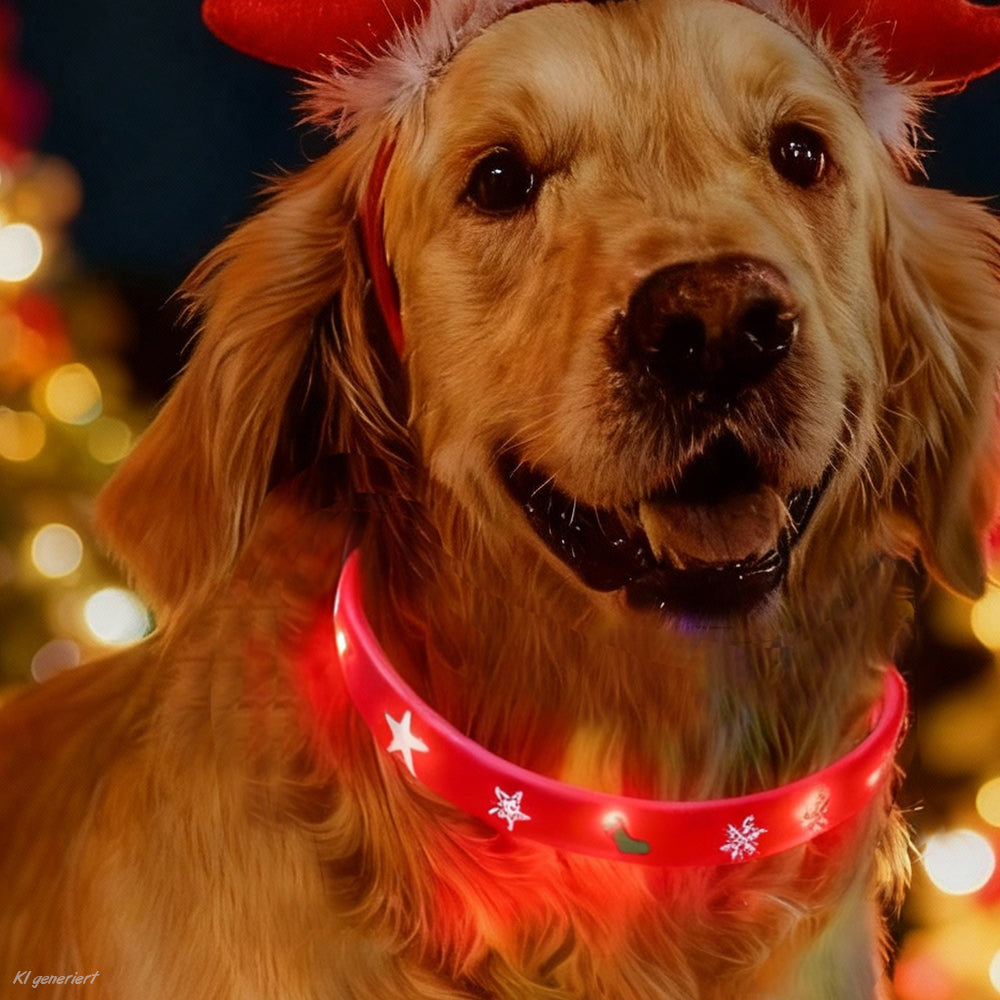 XMAS LED-Lichtschlauch YULE für Hunde – kürzbar & USB-aufladbar