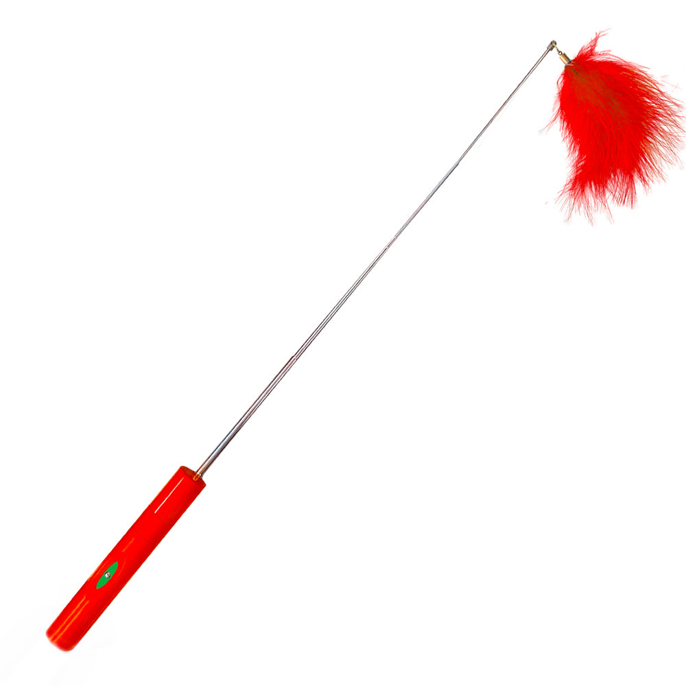 XMAS LED-Pointer & Federwedel "SOCK"