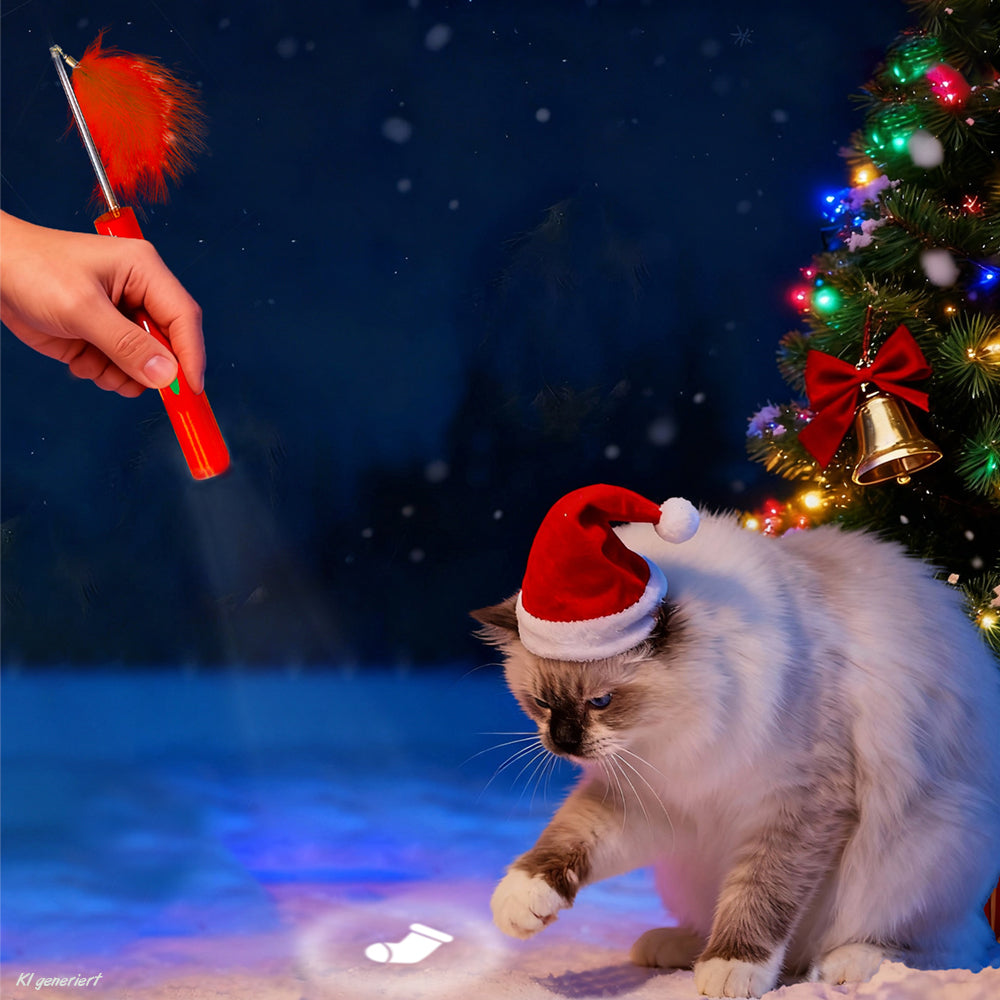 XMAS LED-Pointer & Federwedel "SOCK"