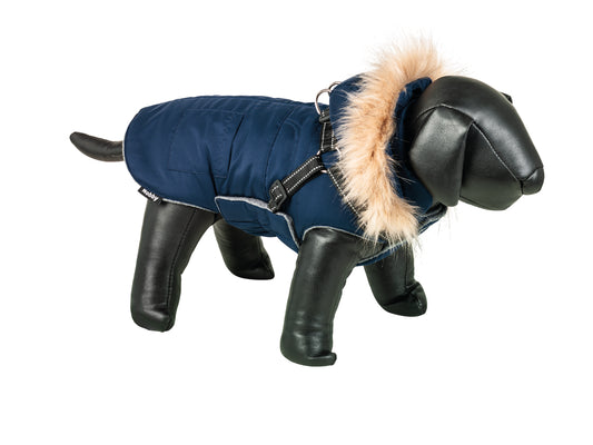 Hundemantel "JETO 2 in 1"