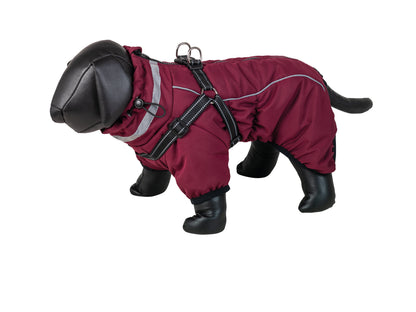 Hundemantel "ELOR 2 in 1"