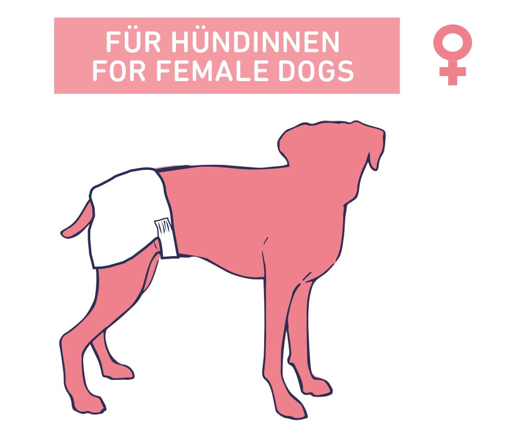Windeln für Hündinnen