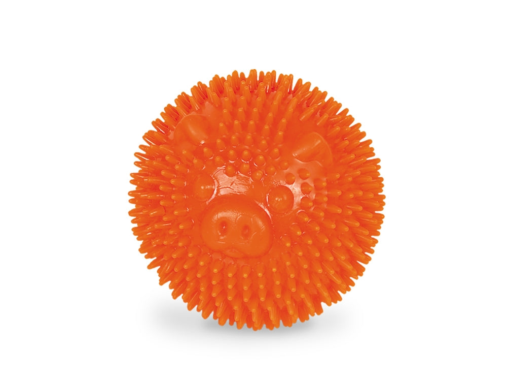 TPR Noppenball "Pig"