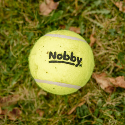 Tennisbälle
