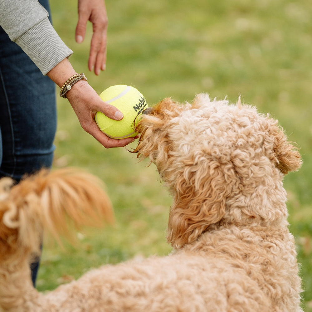 Tennisbälle