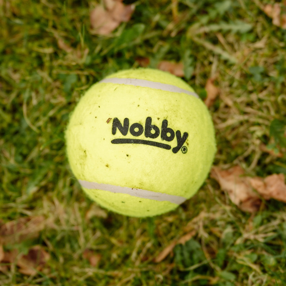 Vorratspacks Tennisbälle