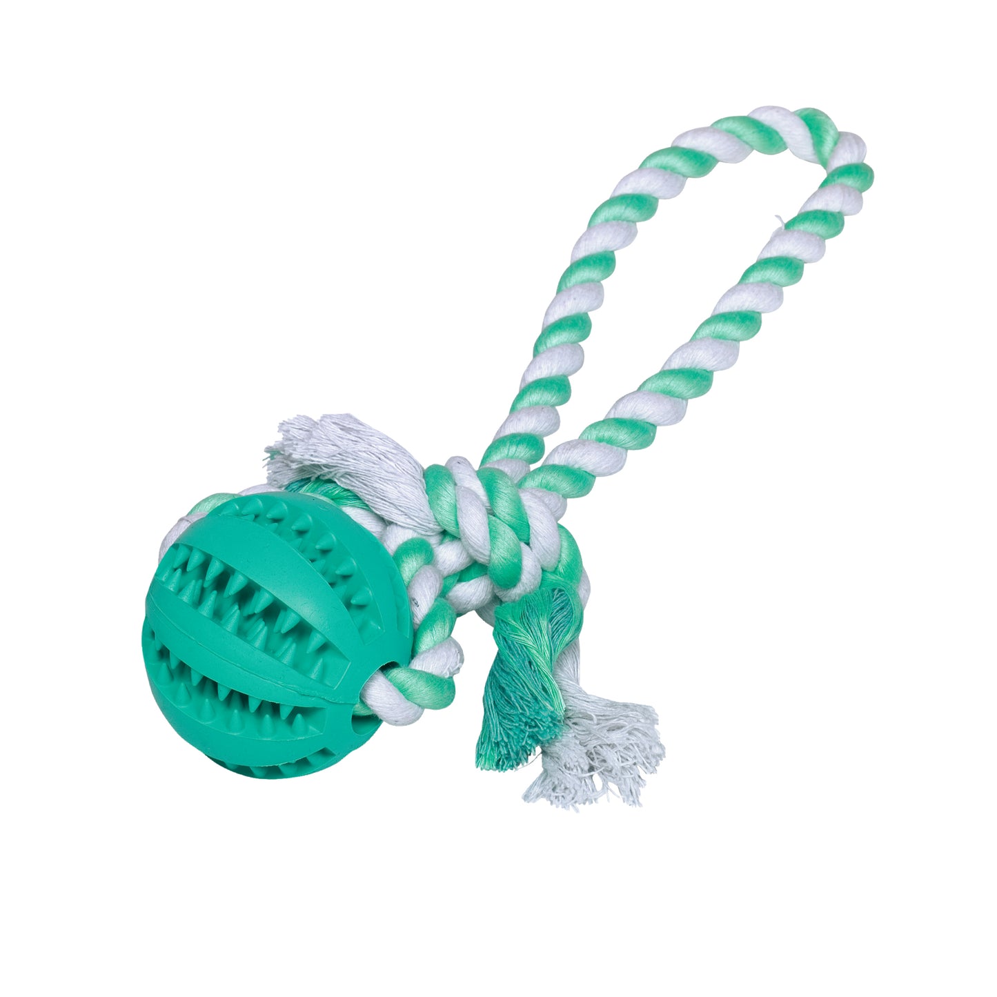 Dental Ball mit Seil