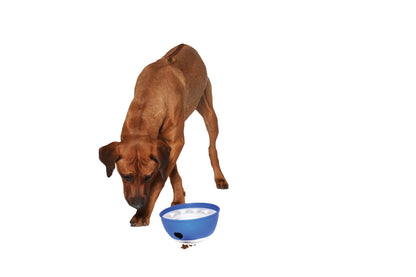 Beschäftigungsnapf "Kick ´N Feed"