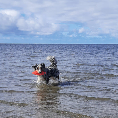 TPR Rettungsring, Lifeboard mit Seil