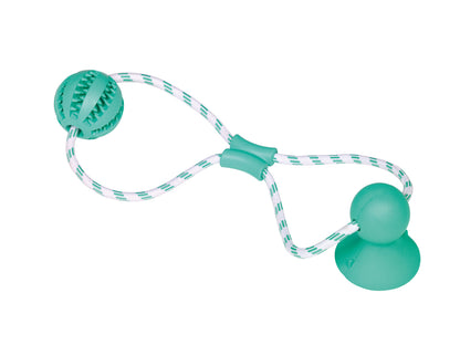 Dental Spielzeug