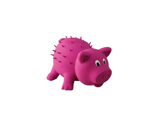 Latex Schwein