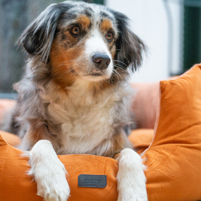 Komfortbett "Cumba"