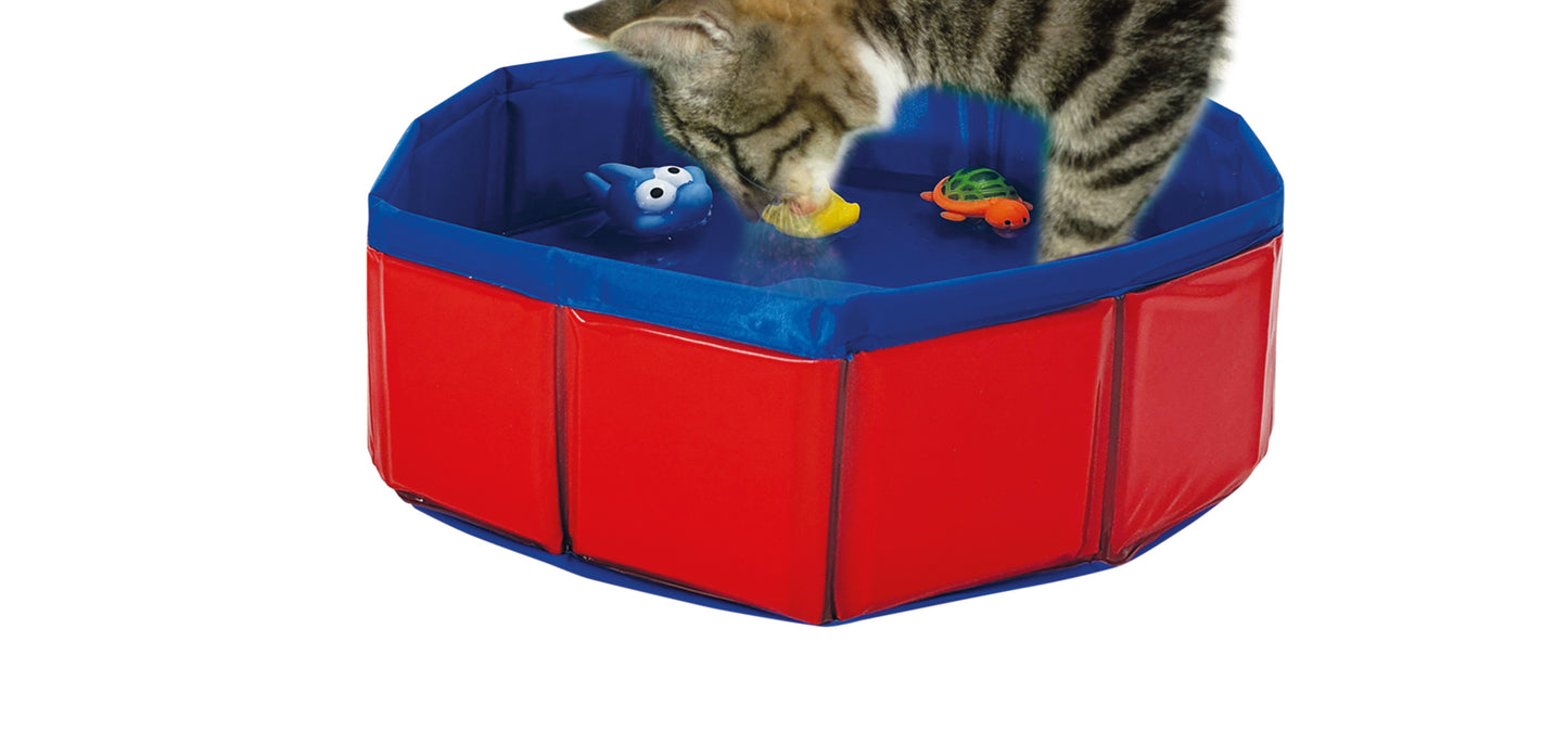 Katzenpool mit Spielzeug