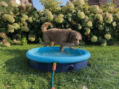 Splash Pool 2 in 1