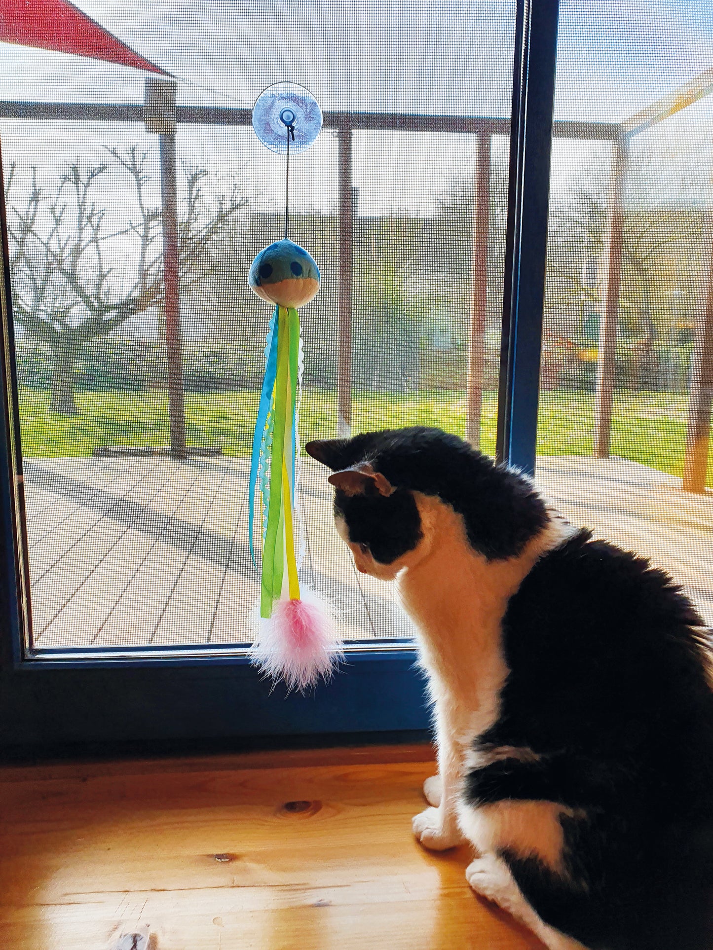 Katzenspielzeug "Ventosa"