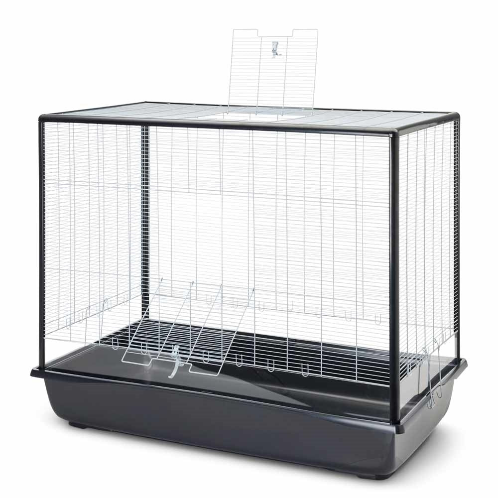 Nagerheim "Argus 120 Plexi"