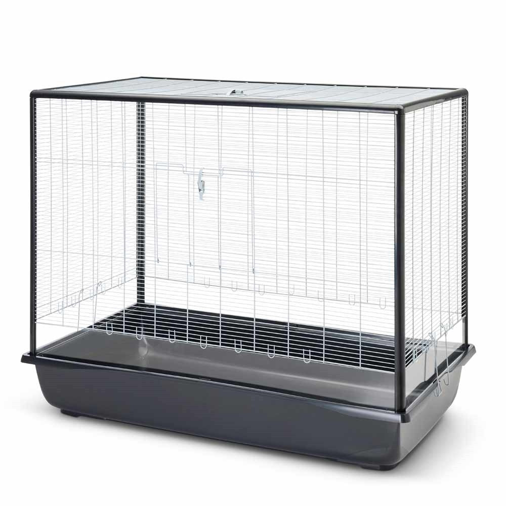 Nagerheim "Argus 120 Plexi"