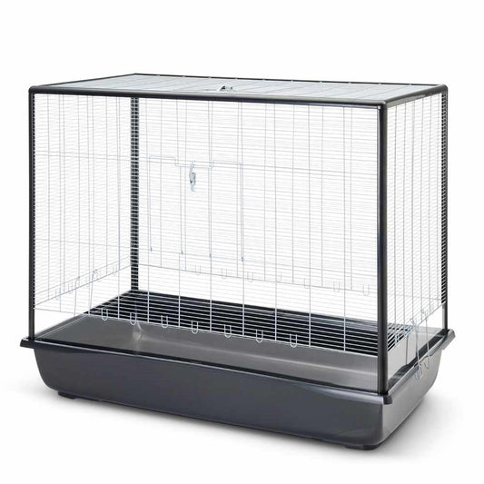 Nagerheim "Argus 120 Plexi"