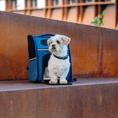 Rucksack "Rana"