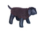 Hundepullover "Jill"
