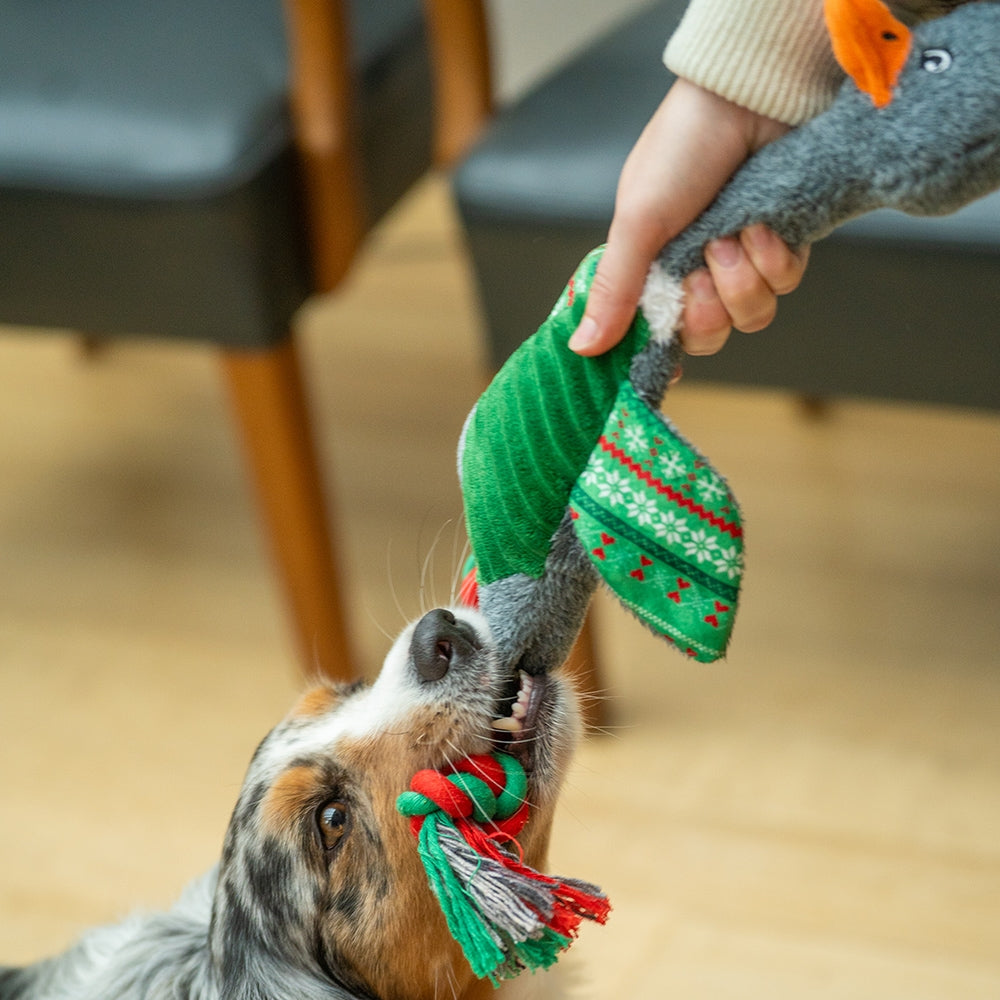 Xmas Gans