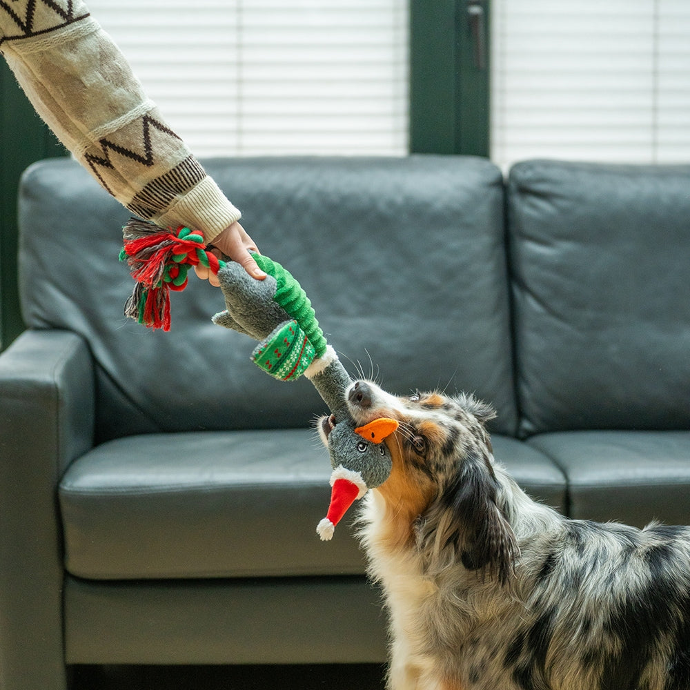 Xmas Gans