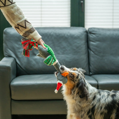 Xmas Gans