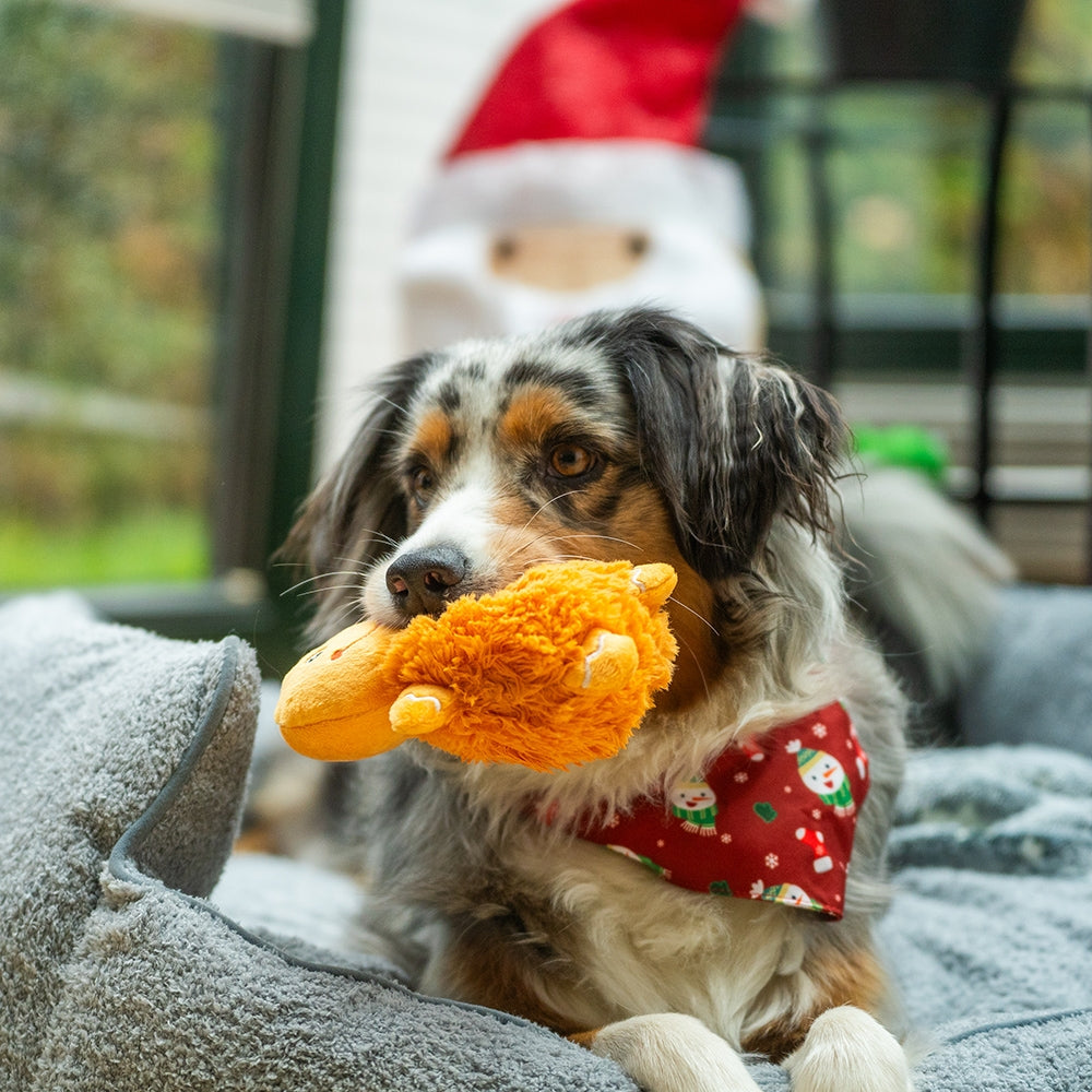 Vorratspack Xmas Figuren