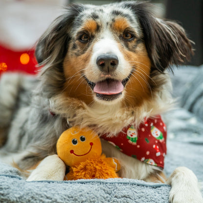 Vorratspack Xmas Figuren
