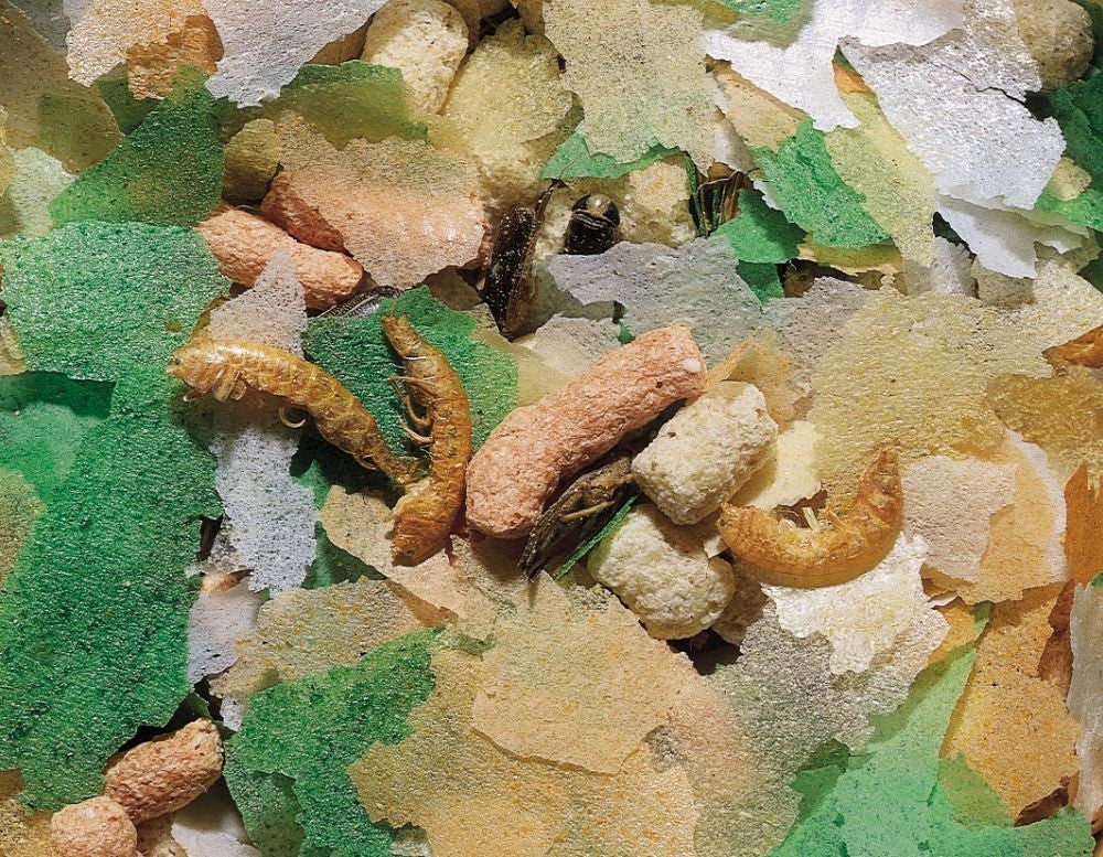 Teichflocken Mix