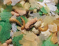 Teichflocken Mix
