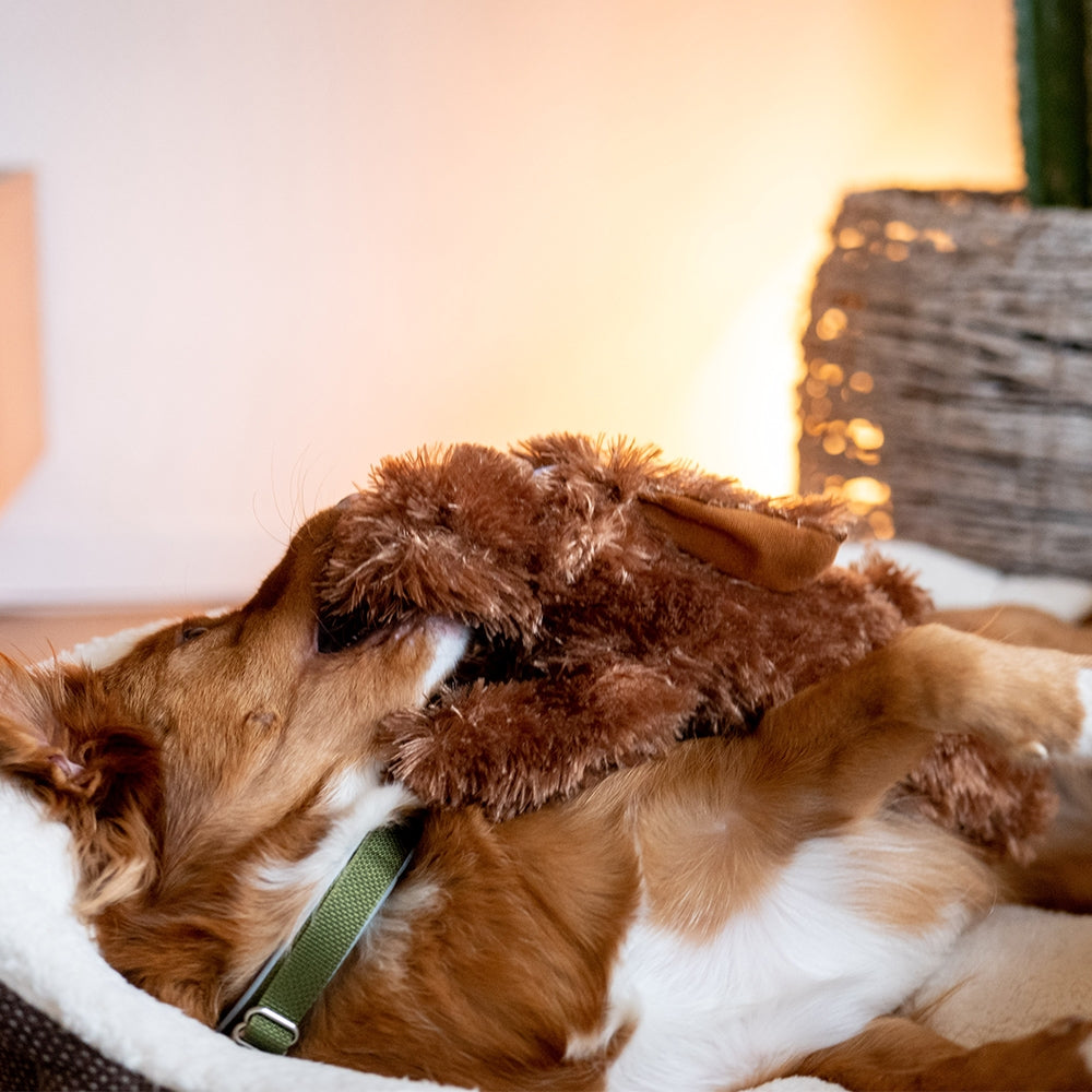 Plüsch Hund "Schlappi"