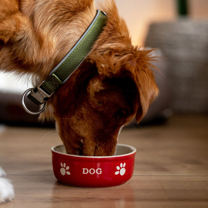 Hunde Keramiknapf "DOG"