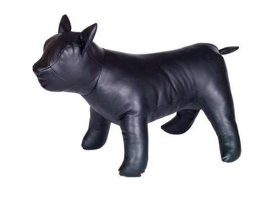 Präsentationshund BULLDOGGE