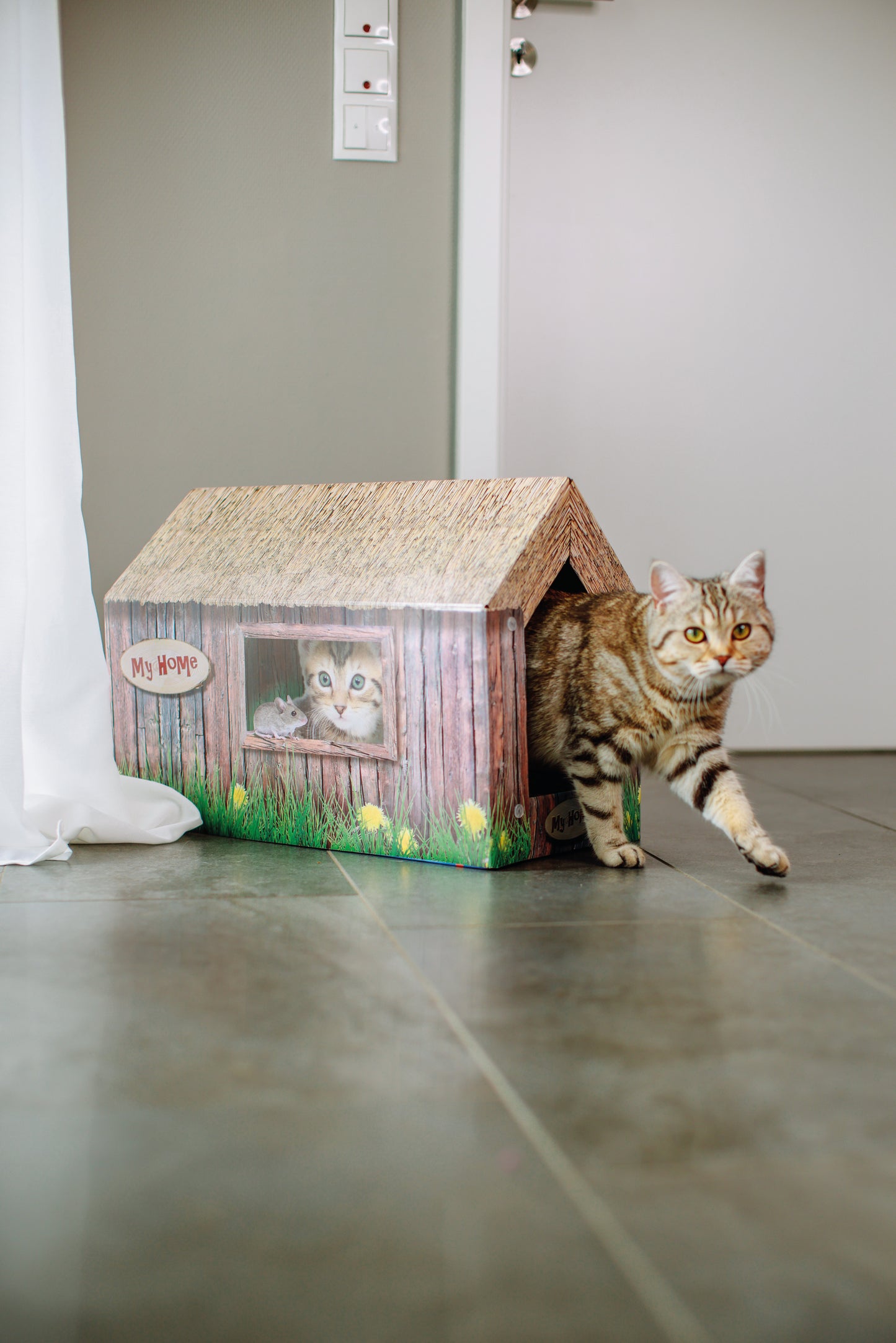 Katzenhaus aus Karton